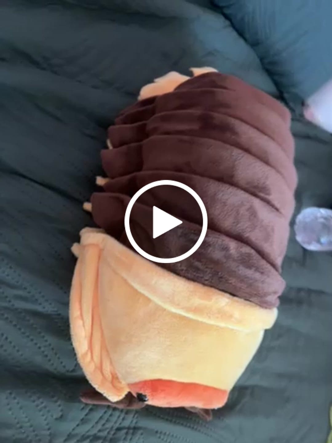 Customer video review of Rubber Ducky Isopod Soft Stuffed Plush Toy