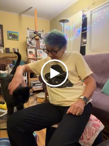Customer video review of Cat Nap - Premium