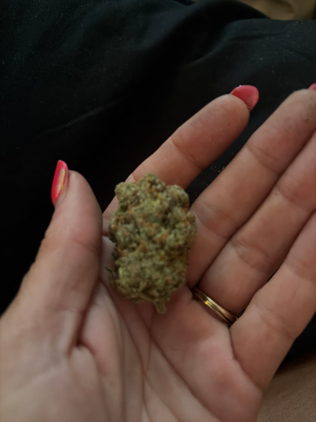 Customer photo review of Jack Herer - Indoor - 14 Grams - Sativa