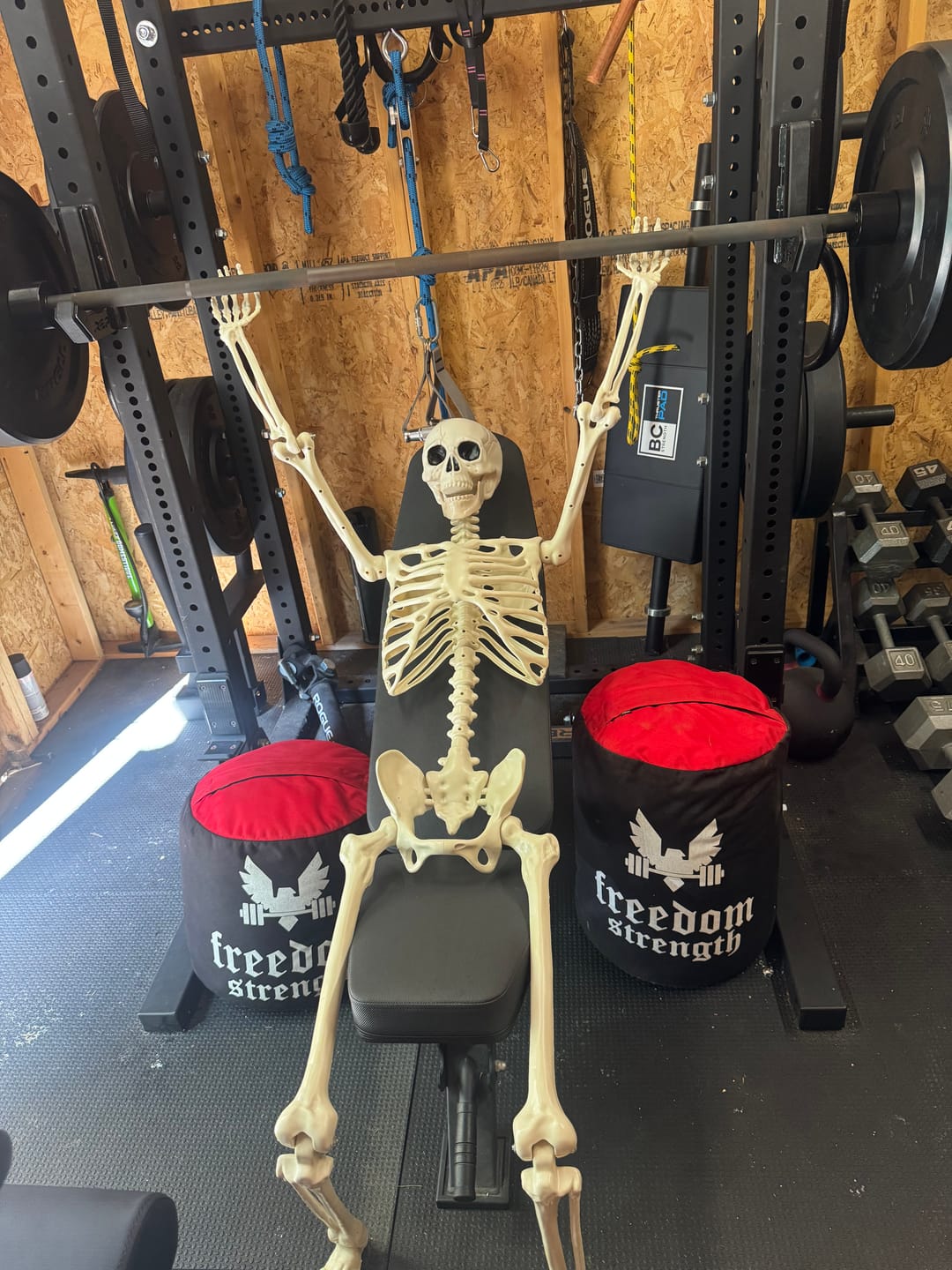 Customer photo review of Strongman Sandbag