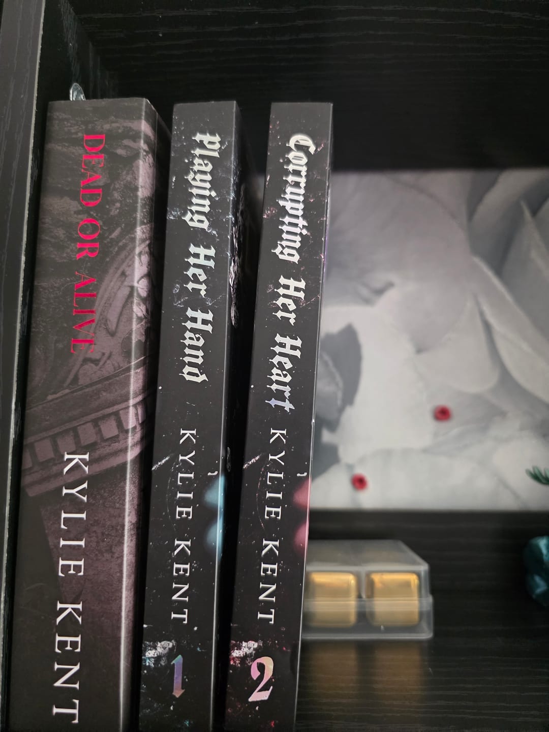 Customer photo review of Corrupting Her Heart - Pre-Order