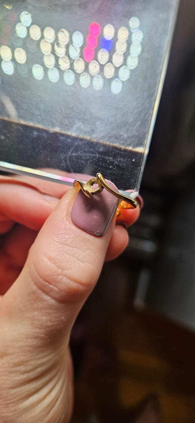 Customer photo review of Starlight Ring