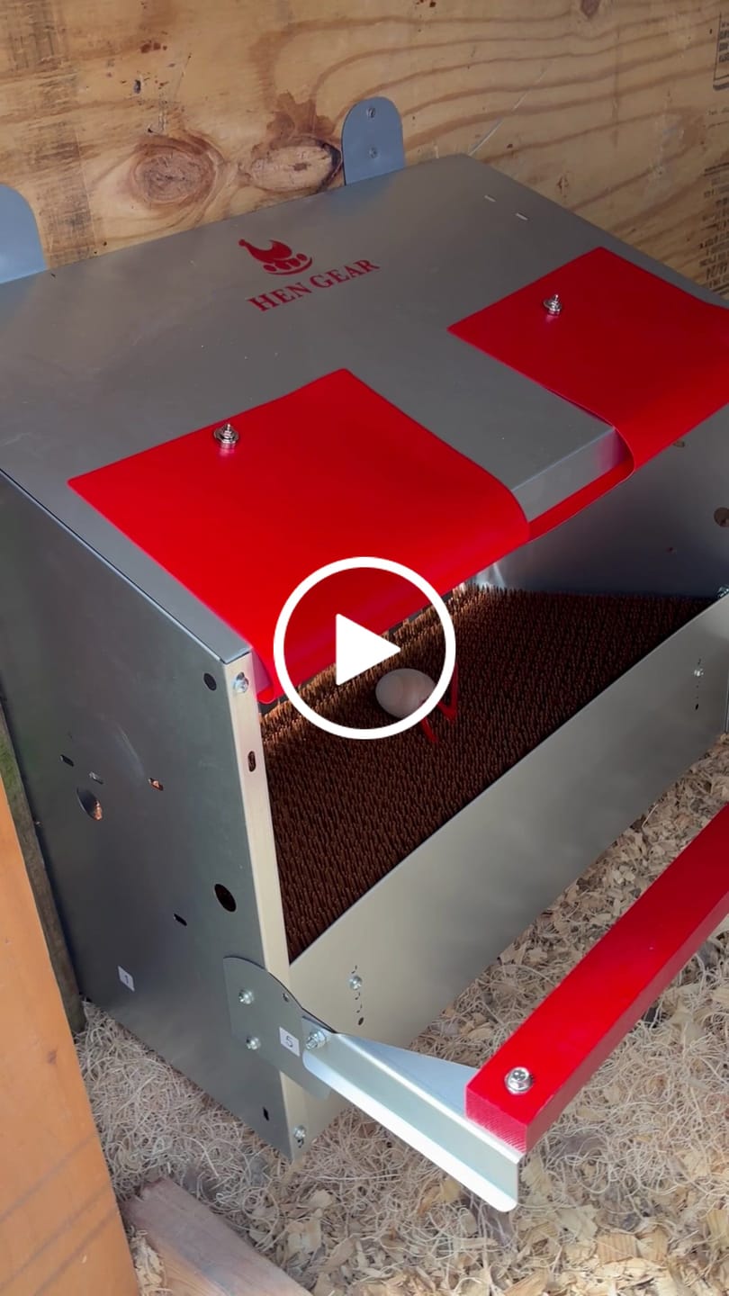 Customer video review of Small (24") Reversible Roll-out Nest Box (Up to 20 Hens)