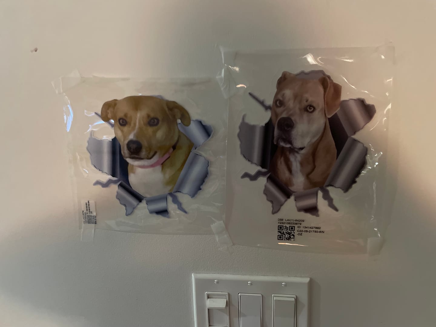 Customer photo review of Personalized Peeking Pets Decal - Gift For Pet Lovers