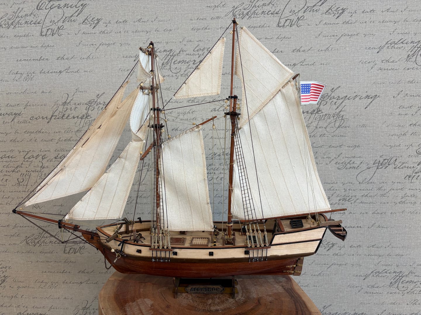 Customer photo review of Maqueta Barco Albatros