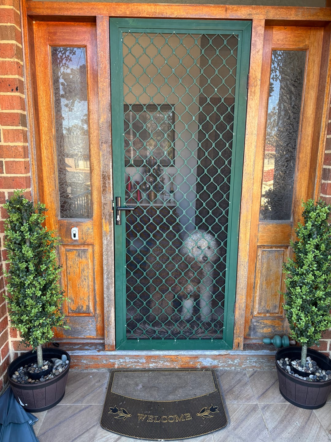 Customer photo review of Artificial Potted Topiary Tree 120cm UV Resistant