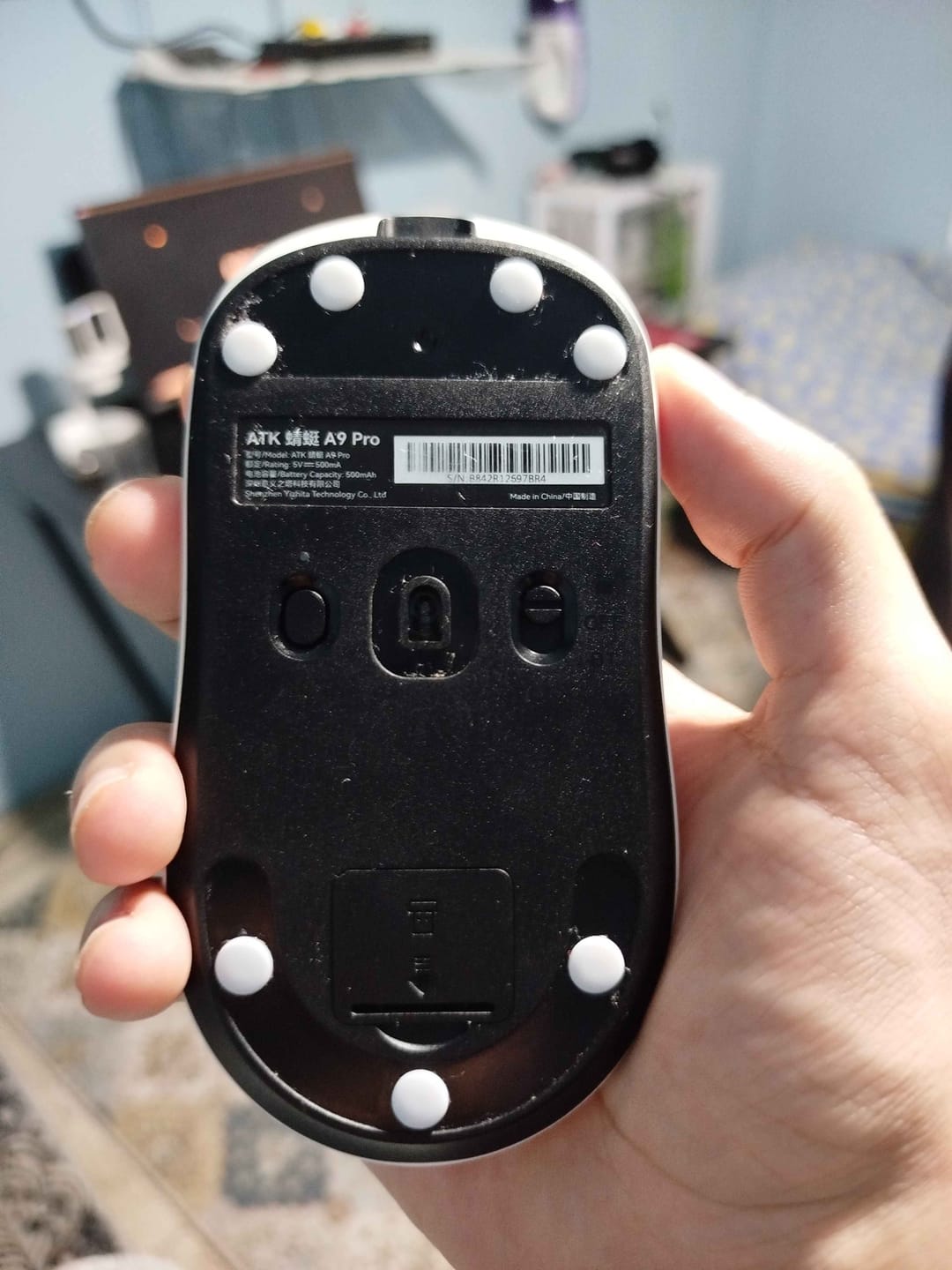 Customer photo review of X-Raypad Jade Mouse Skates