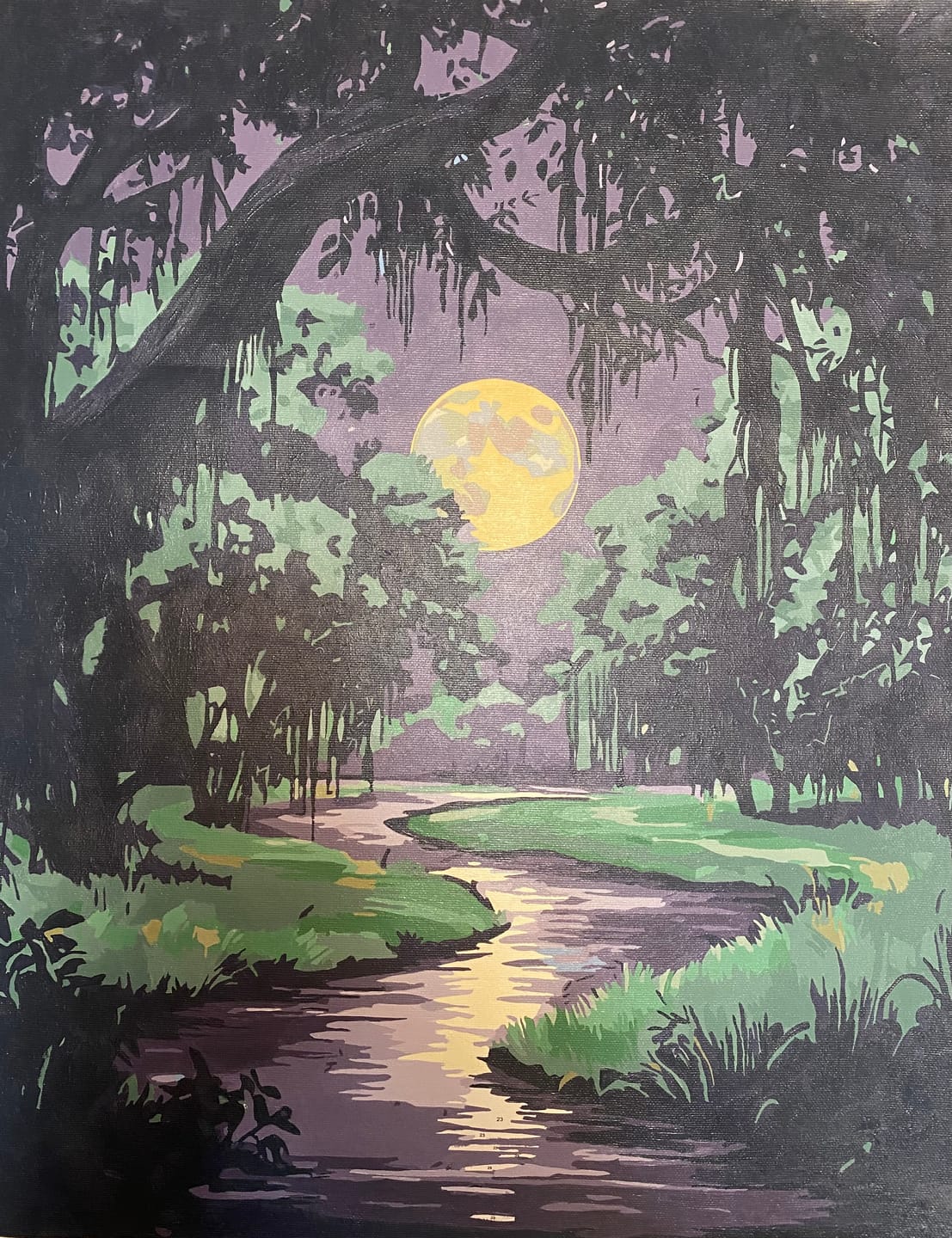 Customer photo review of Moon River