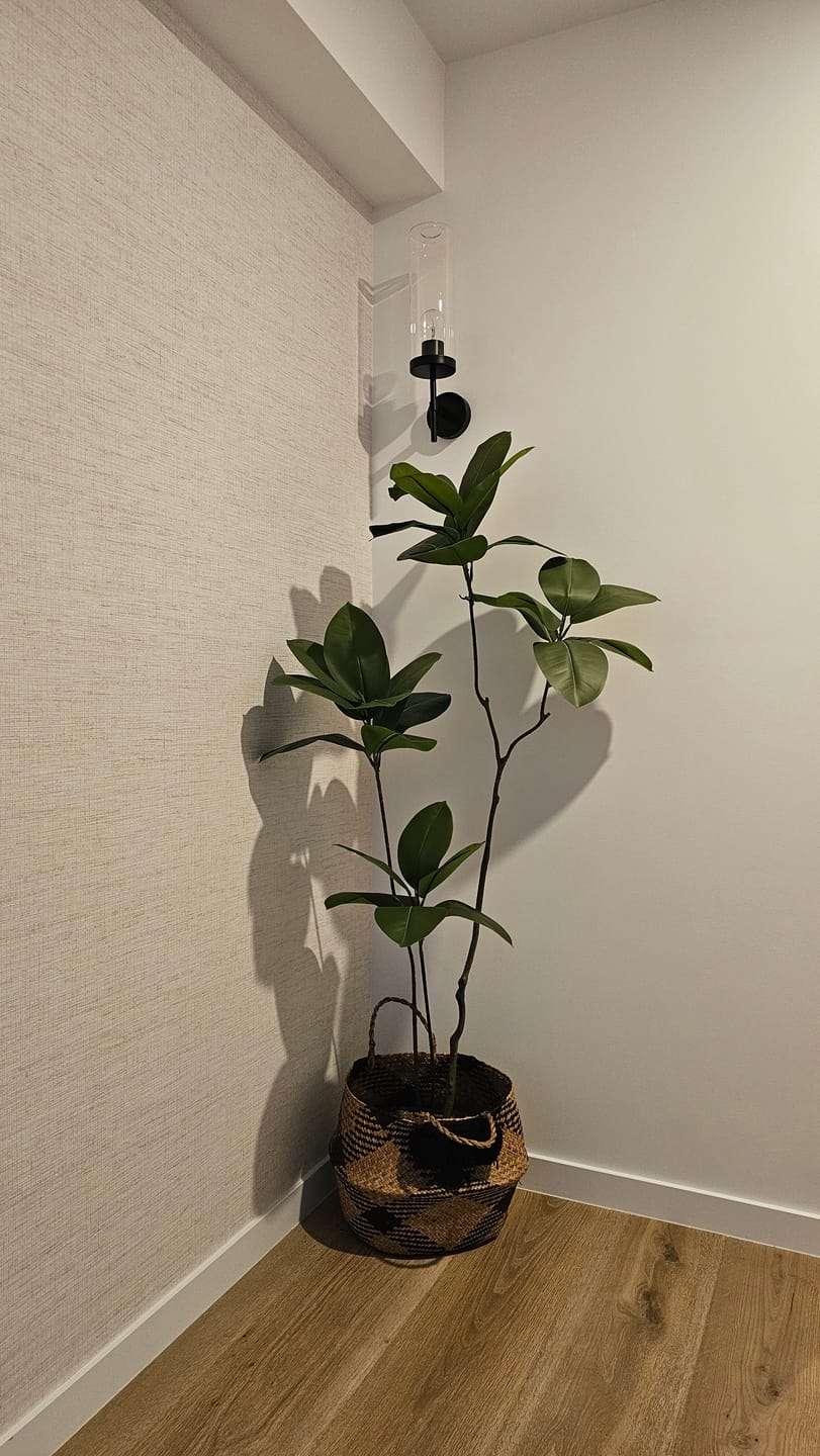 Customer photo review of Artificial Rubber Tree-160CM