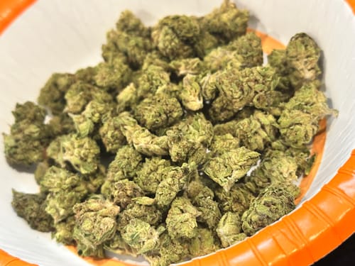 Strawberry Diesel™ – Feminized CBD Seeds photo review