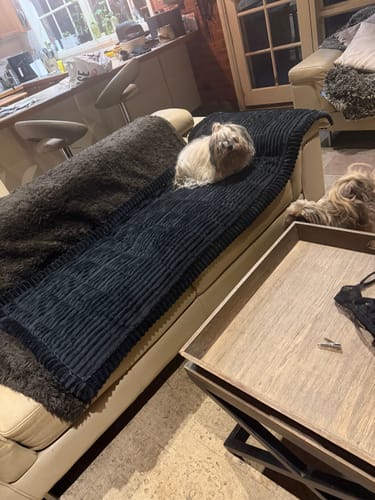 Customer photo review of Cosy Couch - Couch Cover