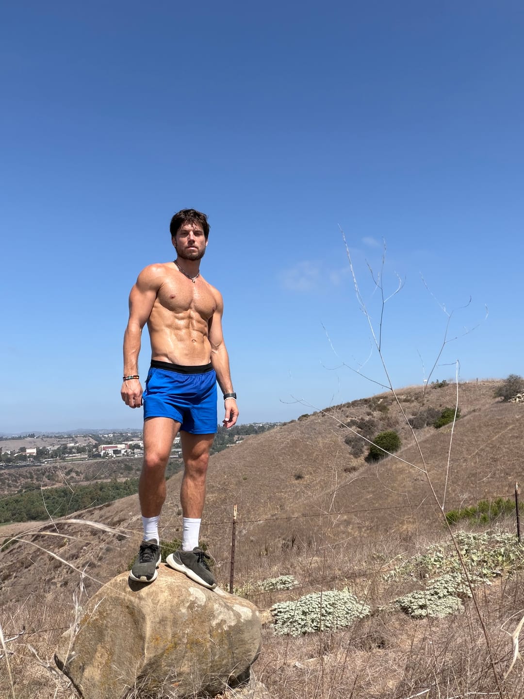 Customer photo review of Voltage Active Short