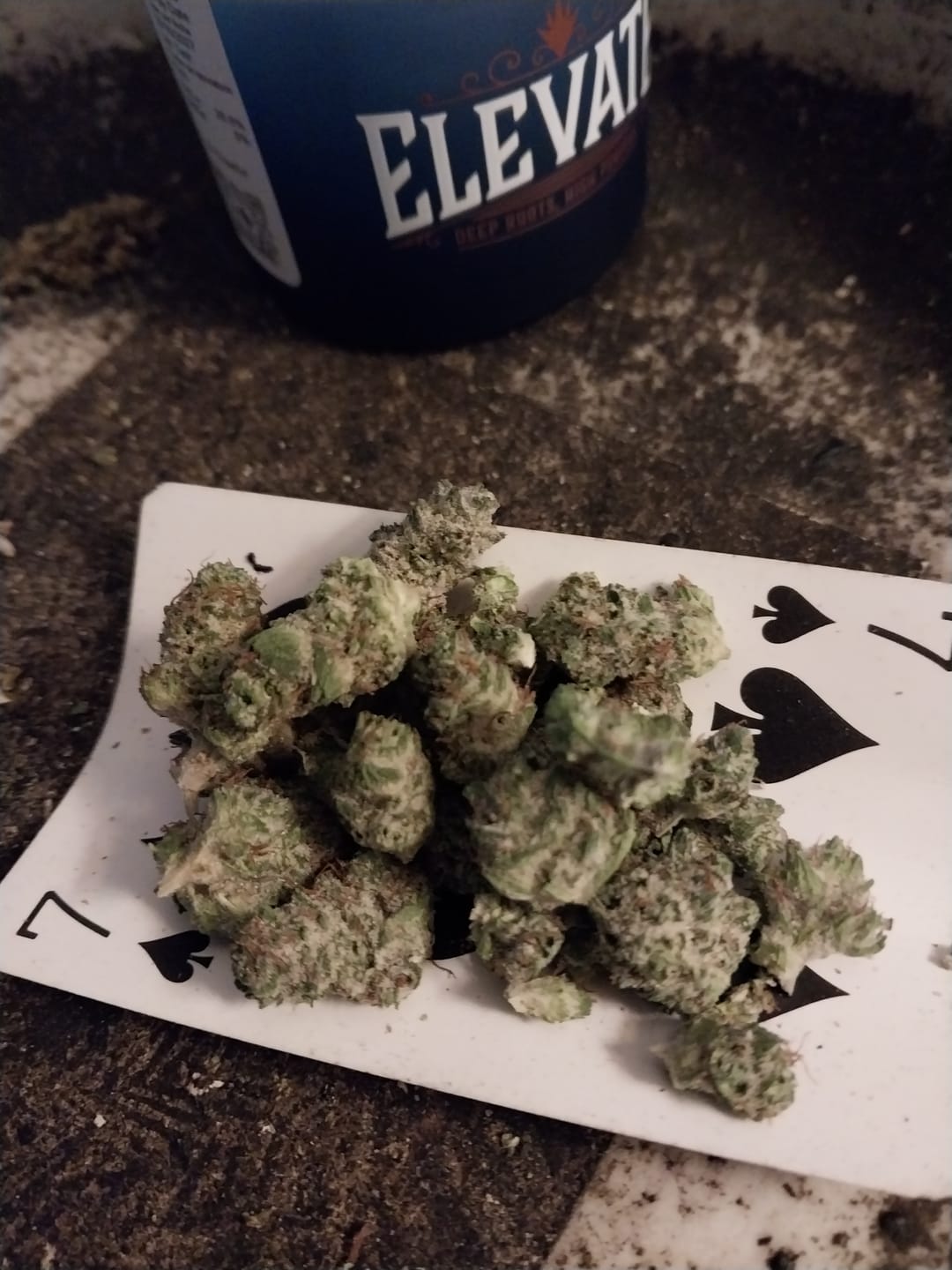 Customer photo review of OG Kush THCA Flower (Budget)