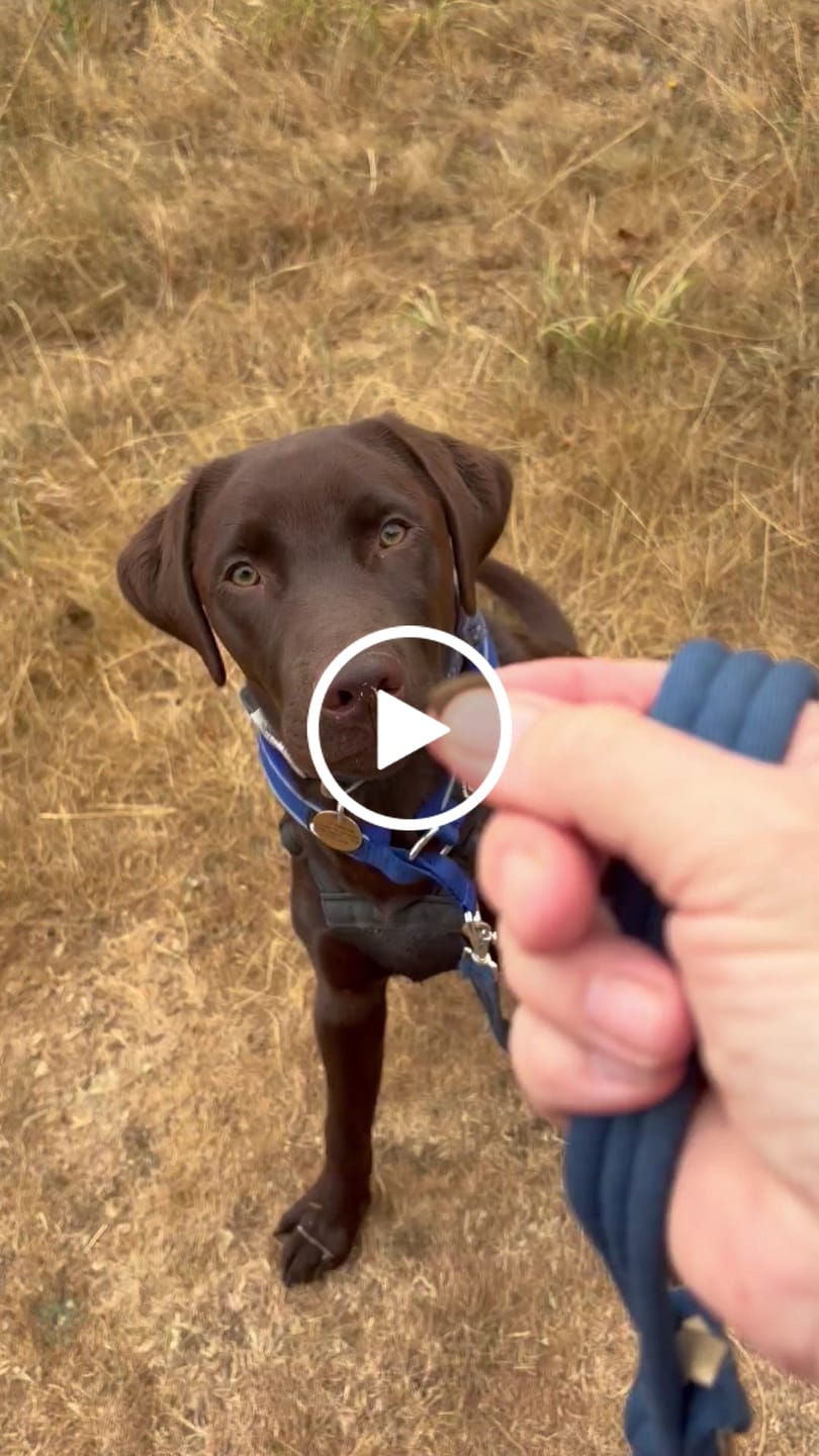 Customer video review of Personalisation Fee £7.99