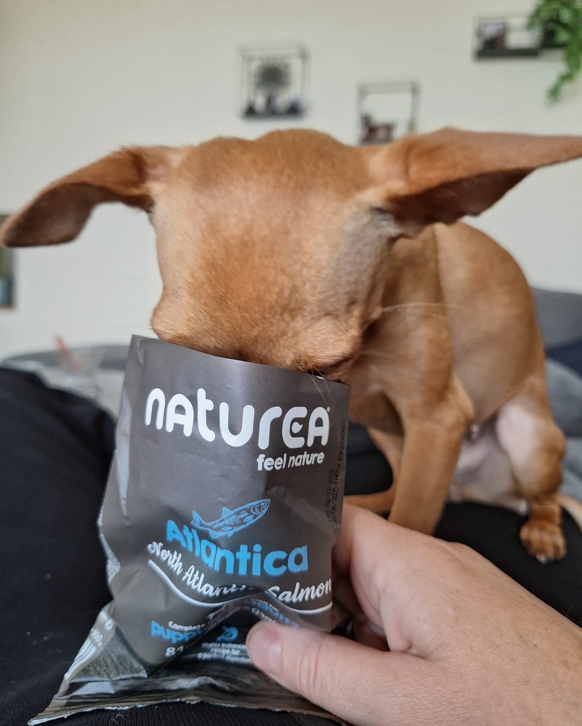 Customer photo review of Ethos Wetlands Hundafóður Free Range Duck