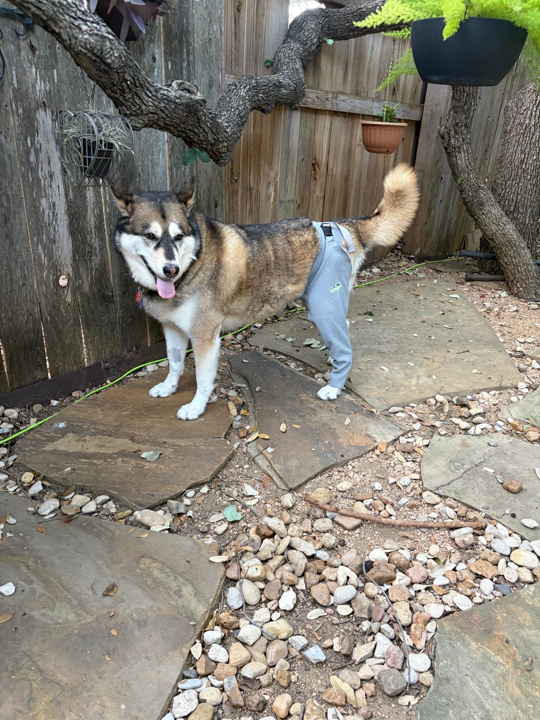 Customer photo review of Lick Sleeve® Leg Sleeve