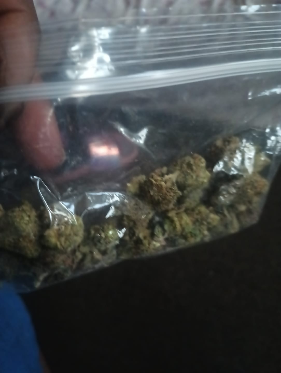 Customer photo review of Biscotti THCA Flower (Budget)