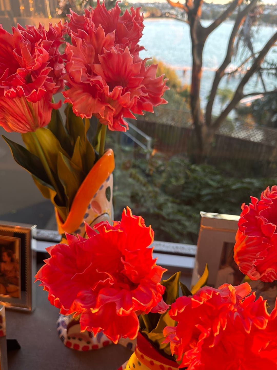 Customer photo review of Tulips - Pink Parrot