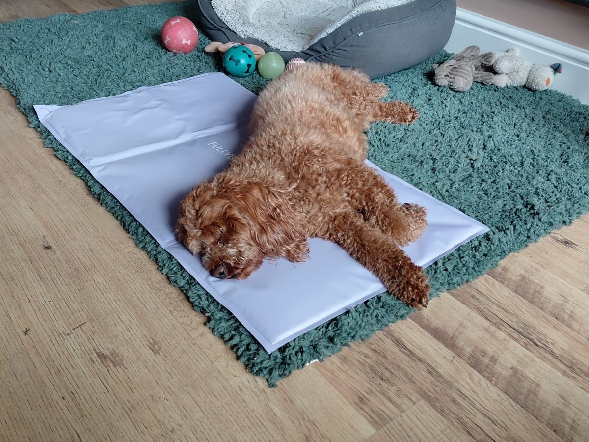 Customer photo review of Arctic Cooling Mat