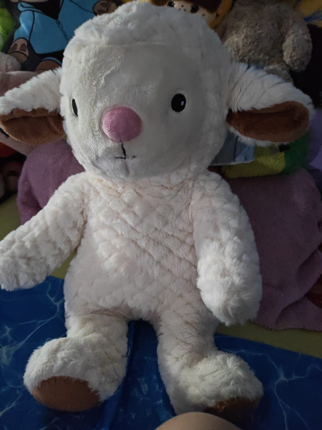 Customer photo review of Lotgenootje Schaap 2kg