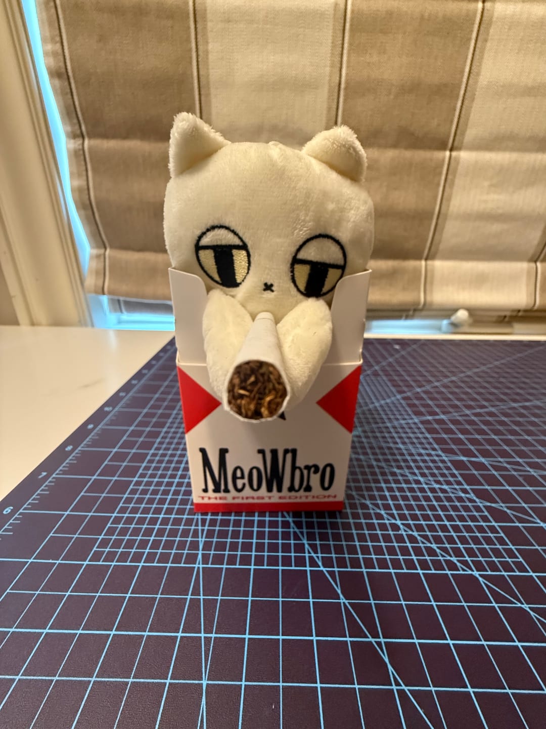 Customer photo review of MeowBro Scrunch Plush