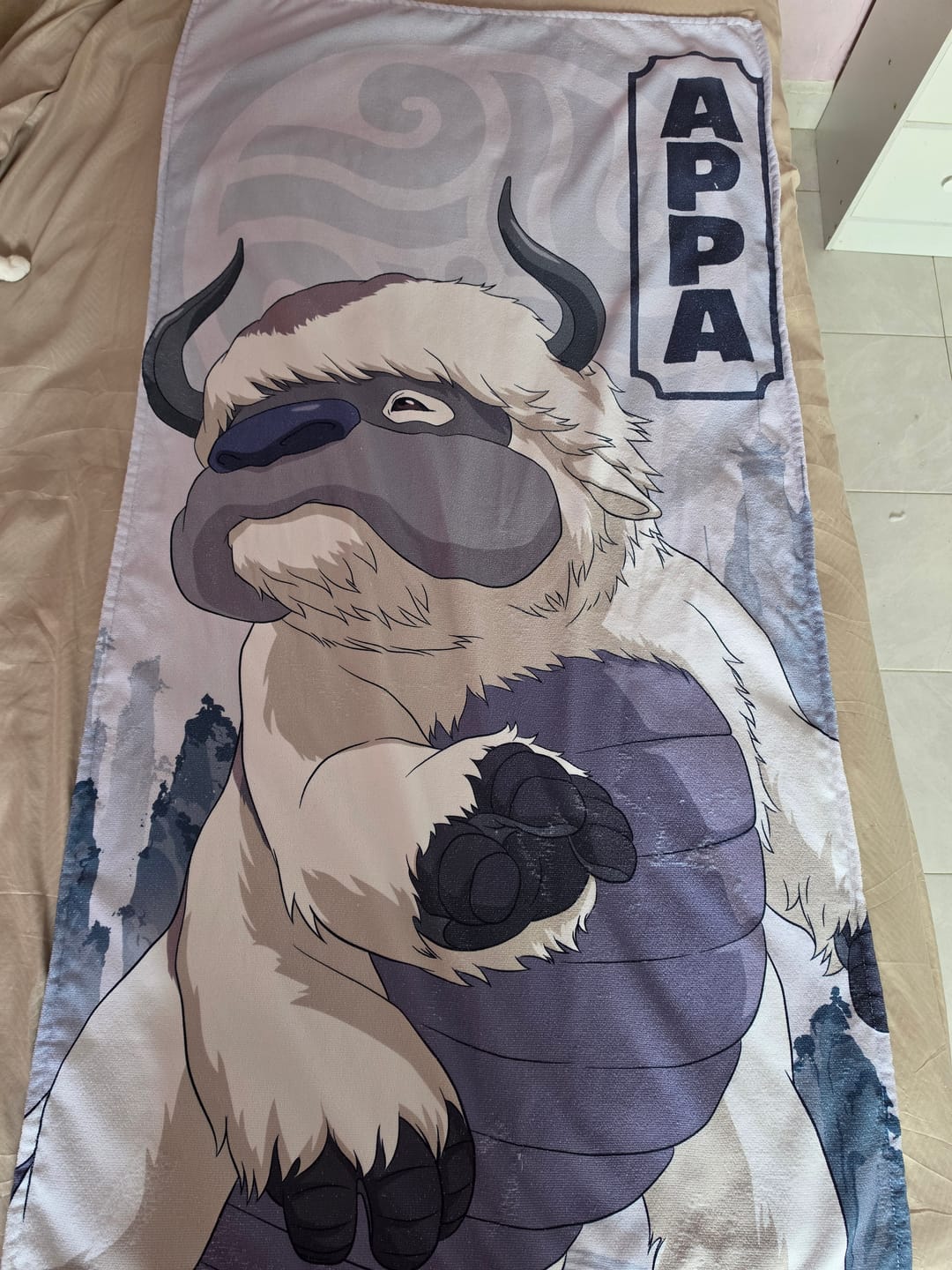 Customer photo review of Toalla Avatar Appa