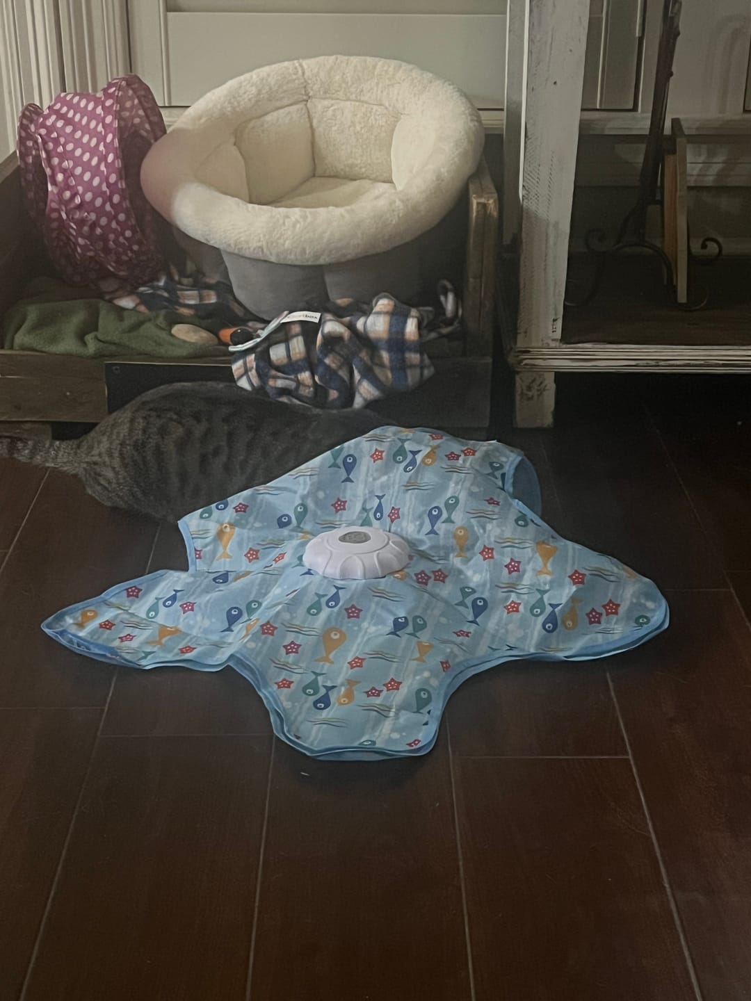 Customer photo review of PEEKY TAIL 2.0