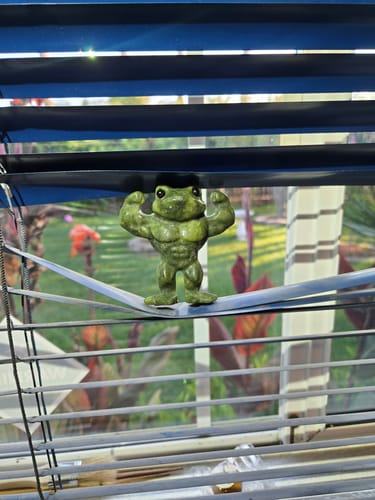 Customer photo review of Natural Serpentine Bodybuilding Frog Carving