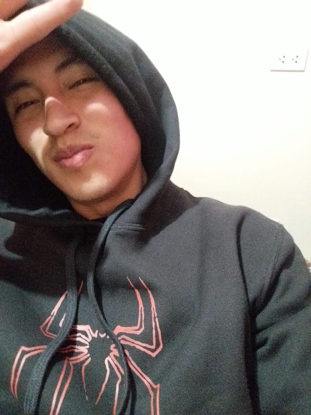 Customer photo review of Hoodie Spiderman New