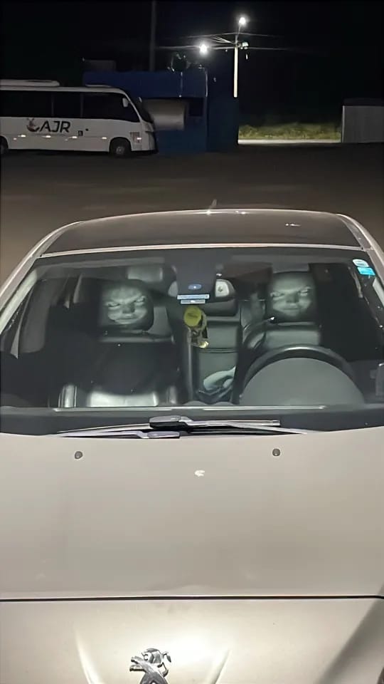 Customer photo review of Funda reposacabezas para coches