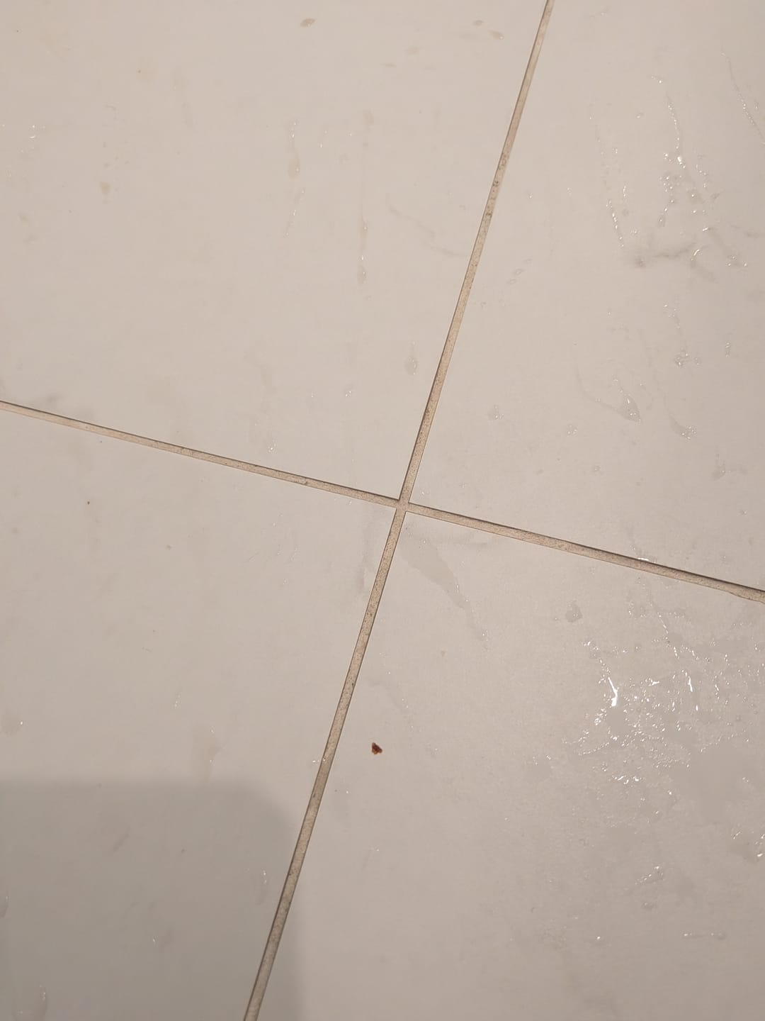 Customer photo review of Bathroom Concentrate 4x