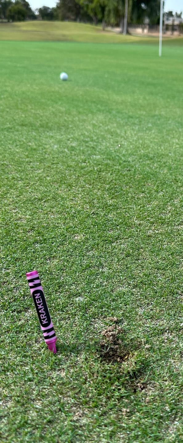 Customer photo review of Kraken Crayon Divot Tool - Kraken Ink