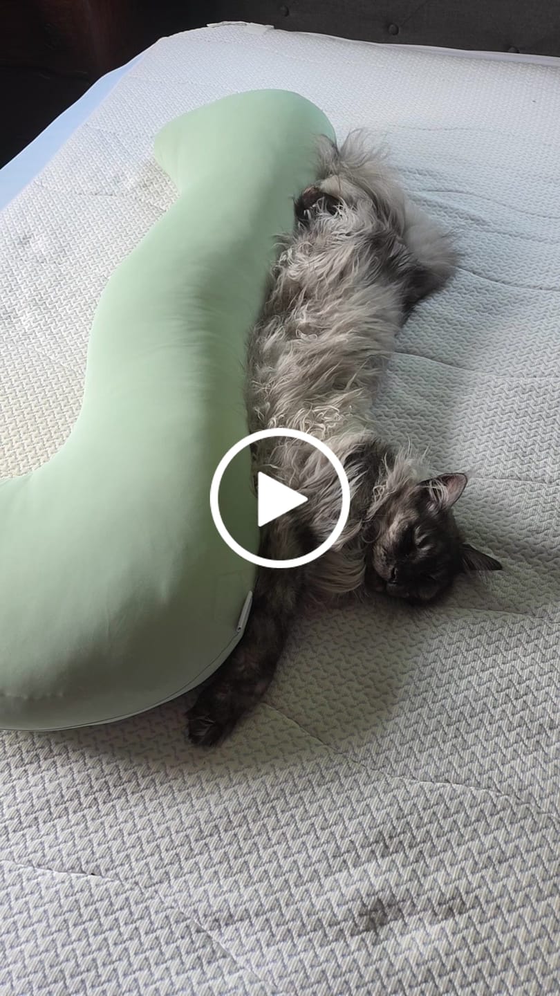 Customer video review of BodyAlign Plus+ Cooling Pillow