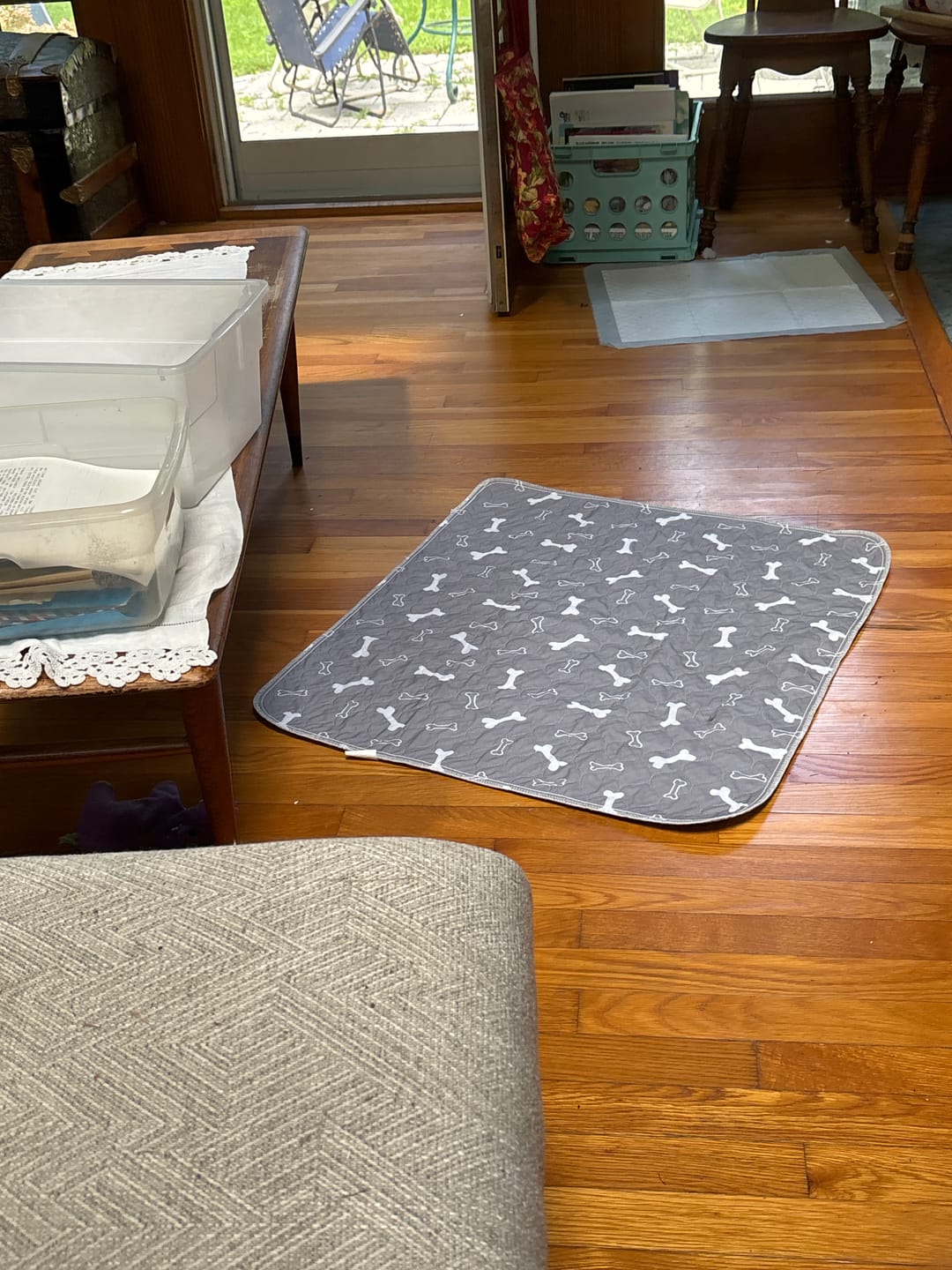 Customer photo review of 6 PUP PADS