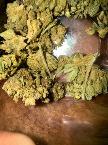 Gelato 41 - 28 Grams - Hybrid photo review