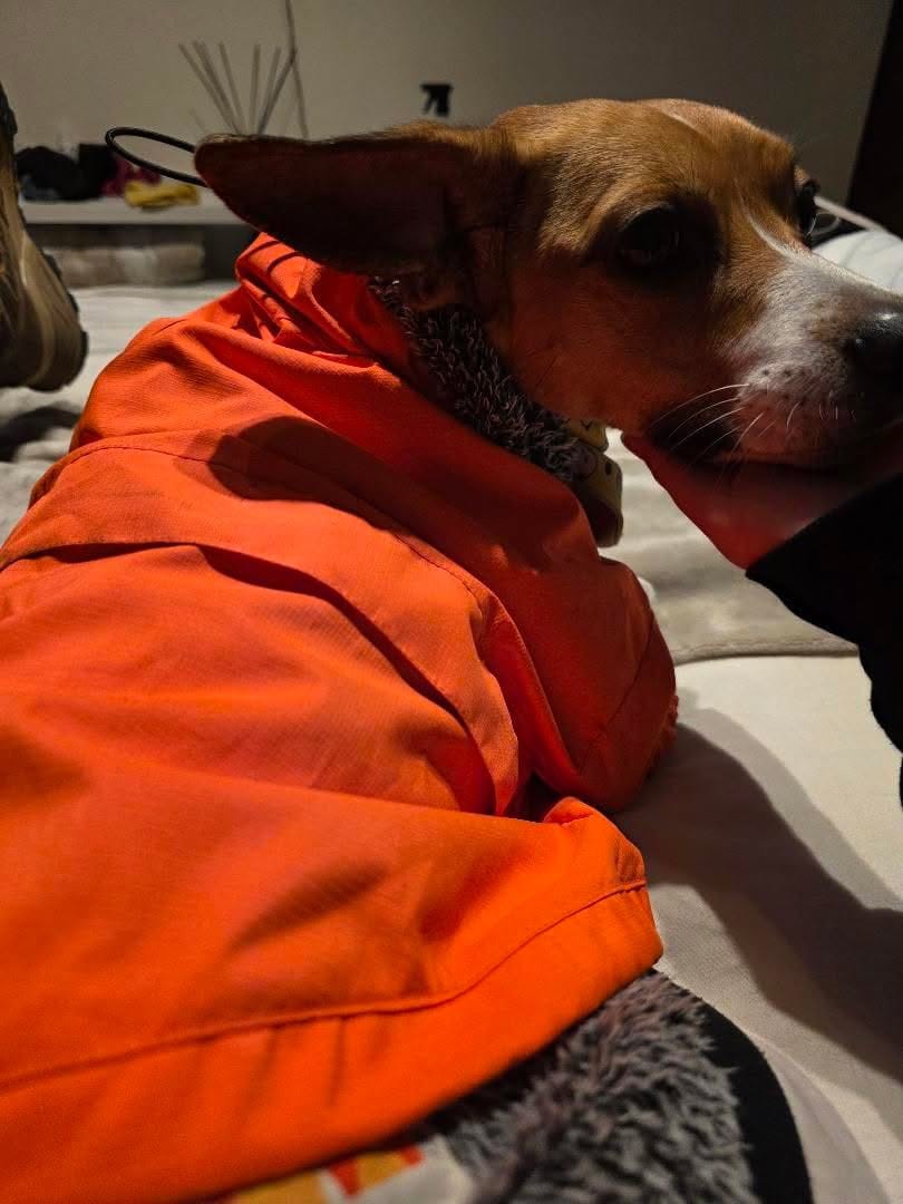 Customer photo review of Chaqueta Impermeable de Lluvia - Roja