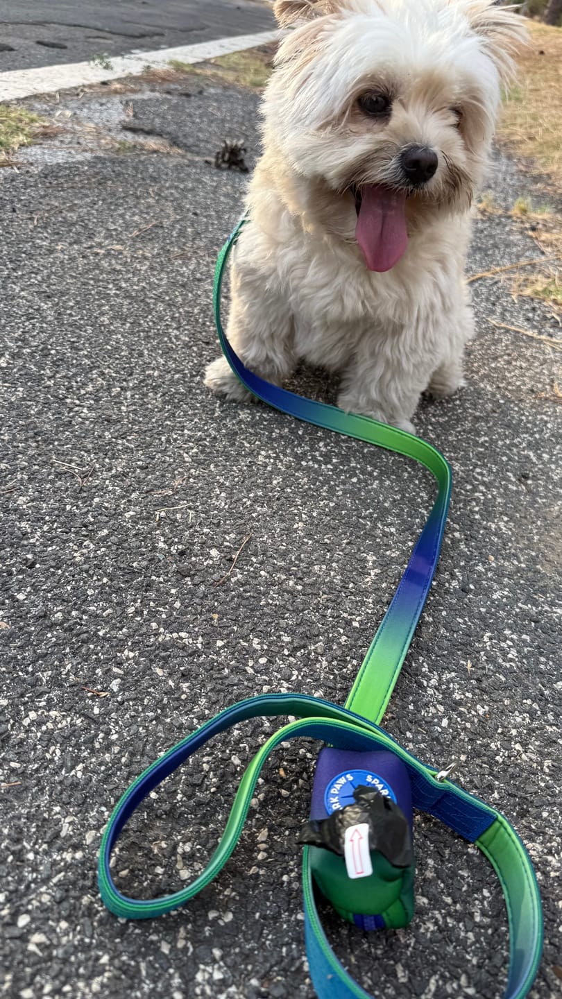 Customer photo review of Leash and Poop Bag Holder Set - Lime Wave