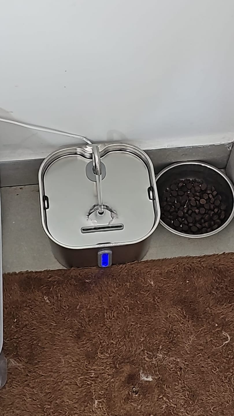 Customer photo review of KittyFlow - מזרקת מים לחתול