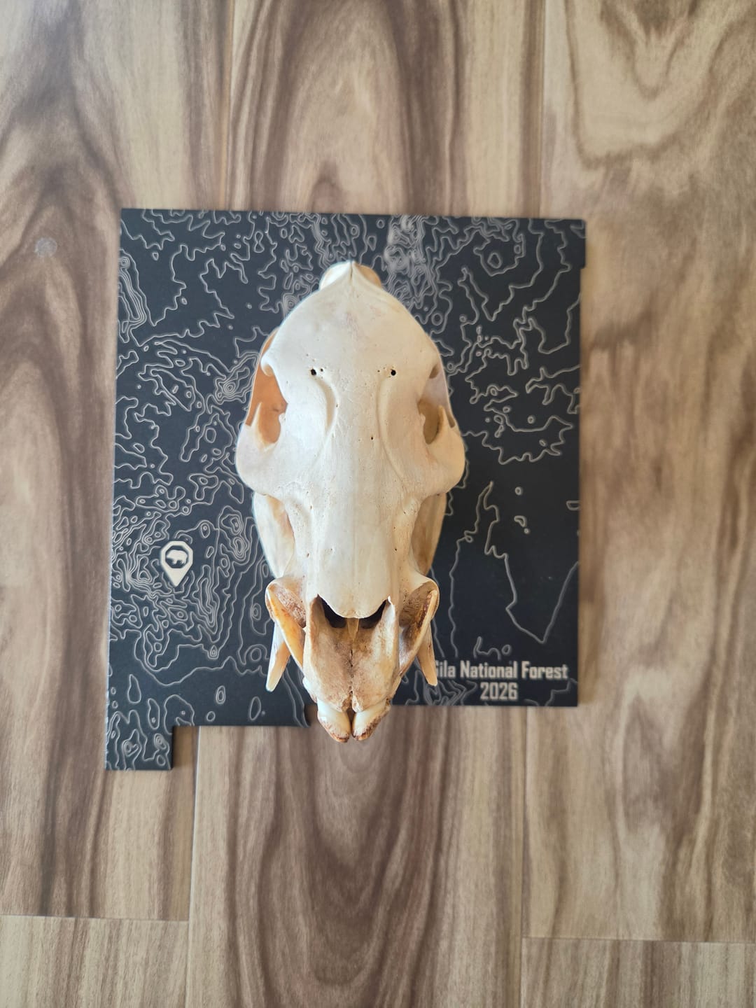 Customer photo review of Medium Game Plaque - Selections