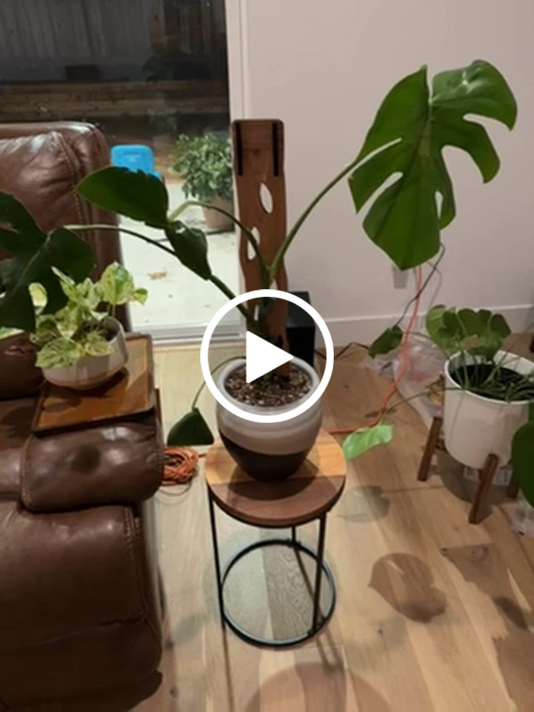 Customer video review of Folia™ - Wooden plant tags - Leaf-shaped plant labels