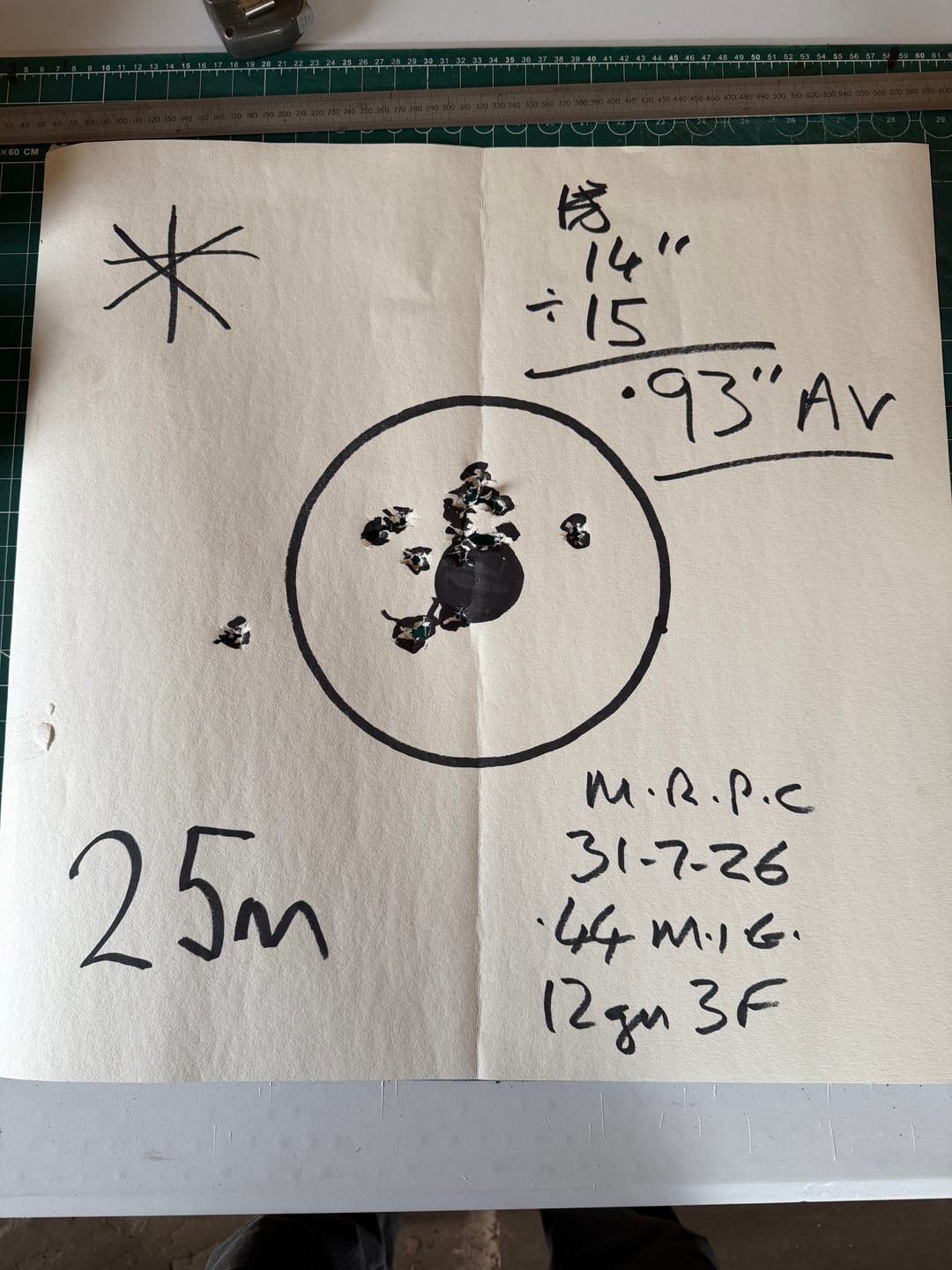 Customer photo review of Safe Shot - Target