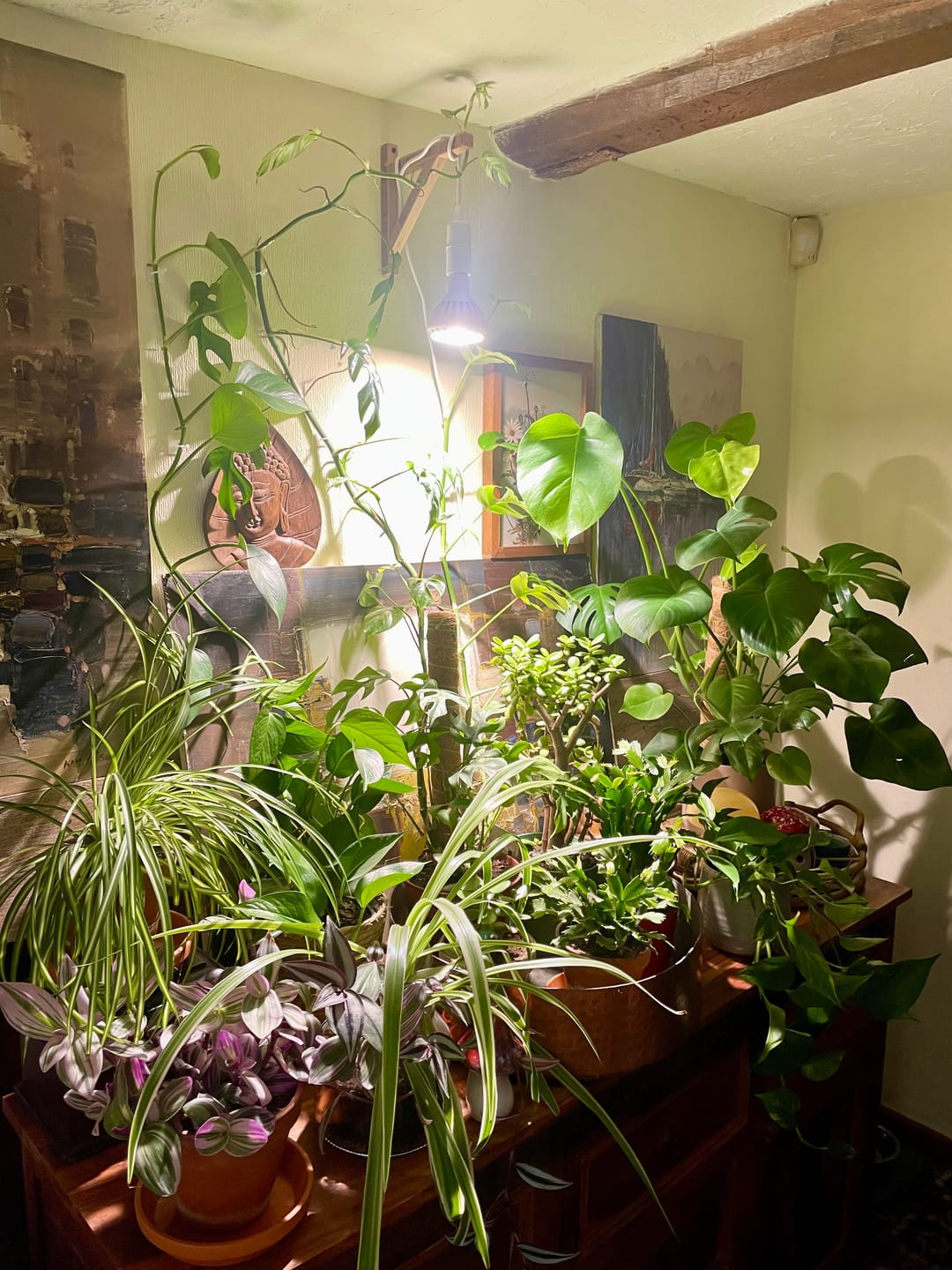 Customer photo review of Bamboo Wall Mount