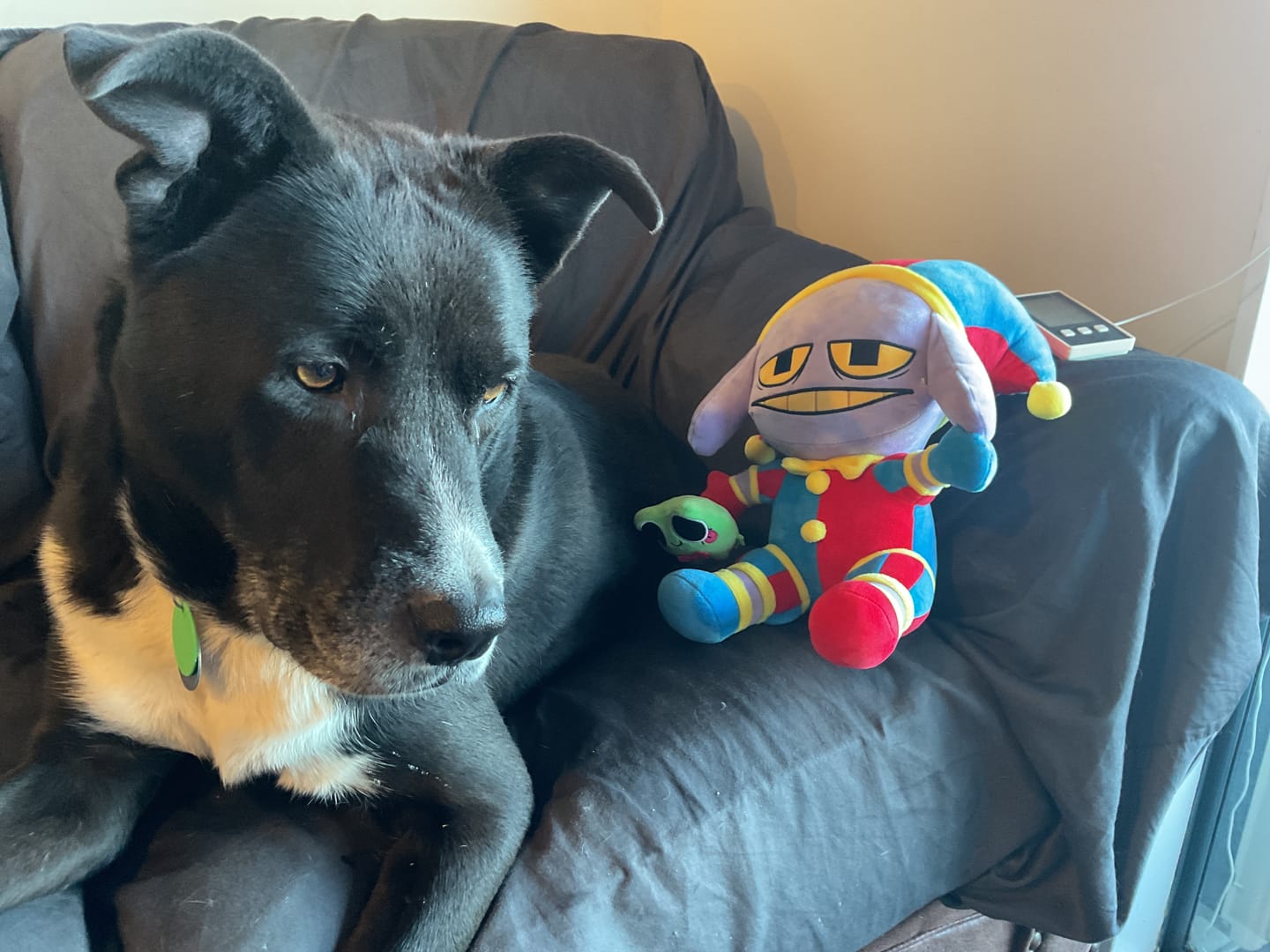 Customer photo review of Pomni-Suit Jax Plush
