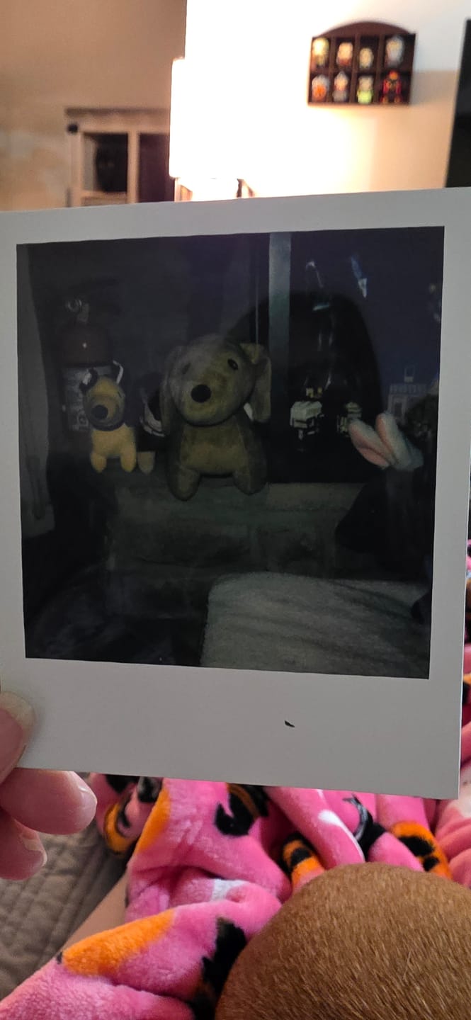 Customer photo review of Polaroid 600 Camera Repair