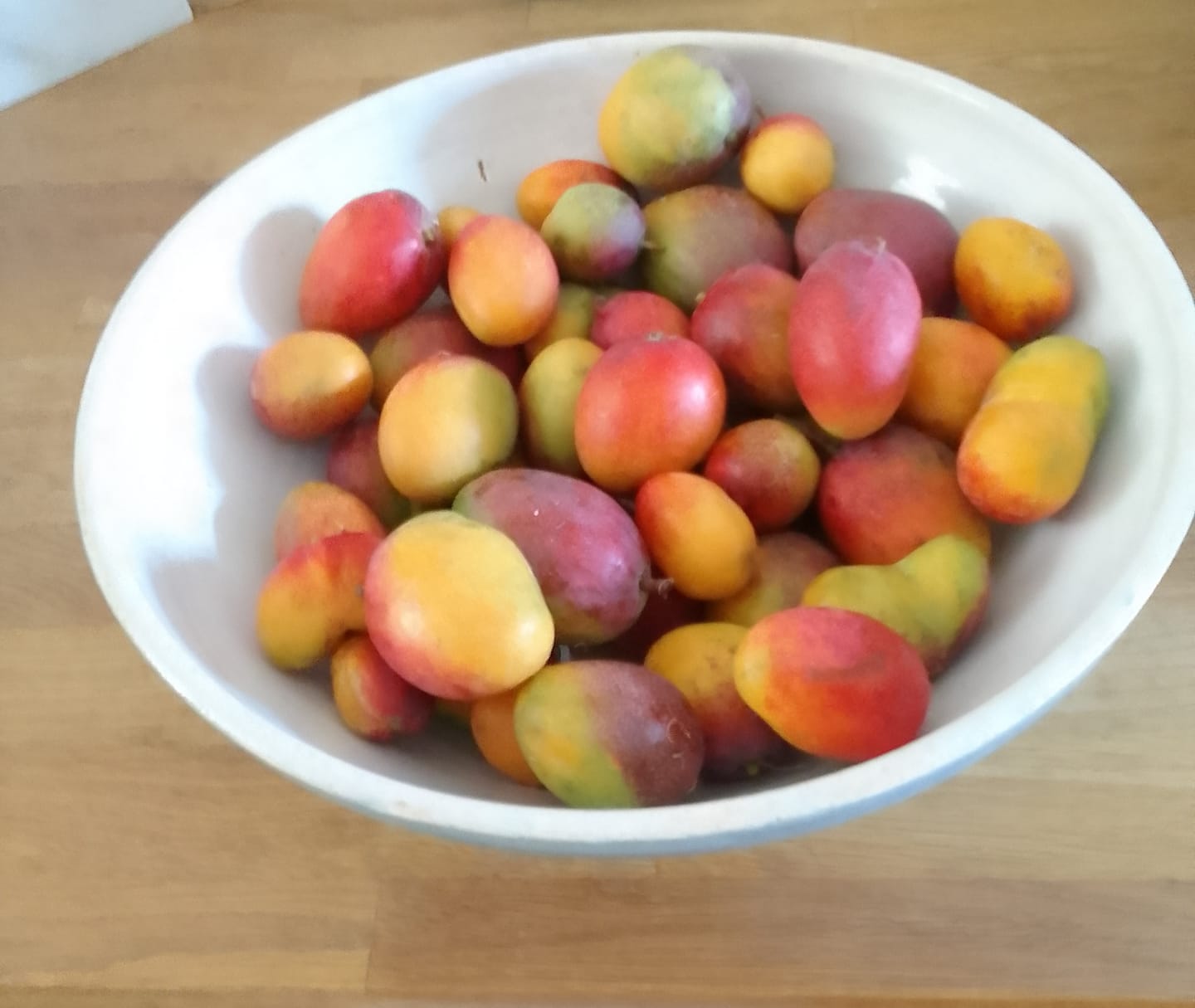 Customer photo review of Pfirsich-Mix Bio von Jose Miguel 3kg Box