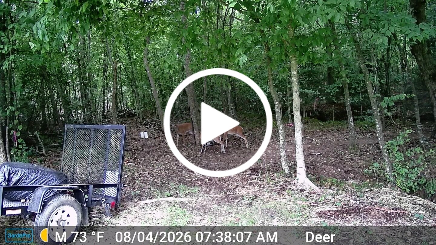 Customer video review of GardePro E8 2.0 Wi-Fi Trail Camera