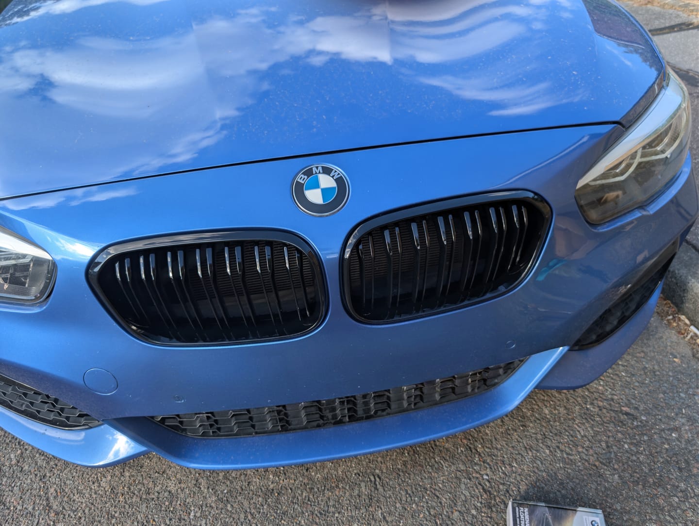 Customer photo review of Black F20 LCI Grilles