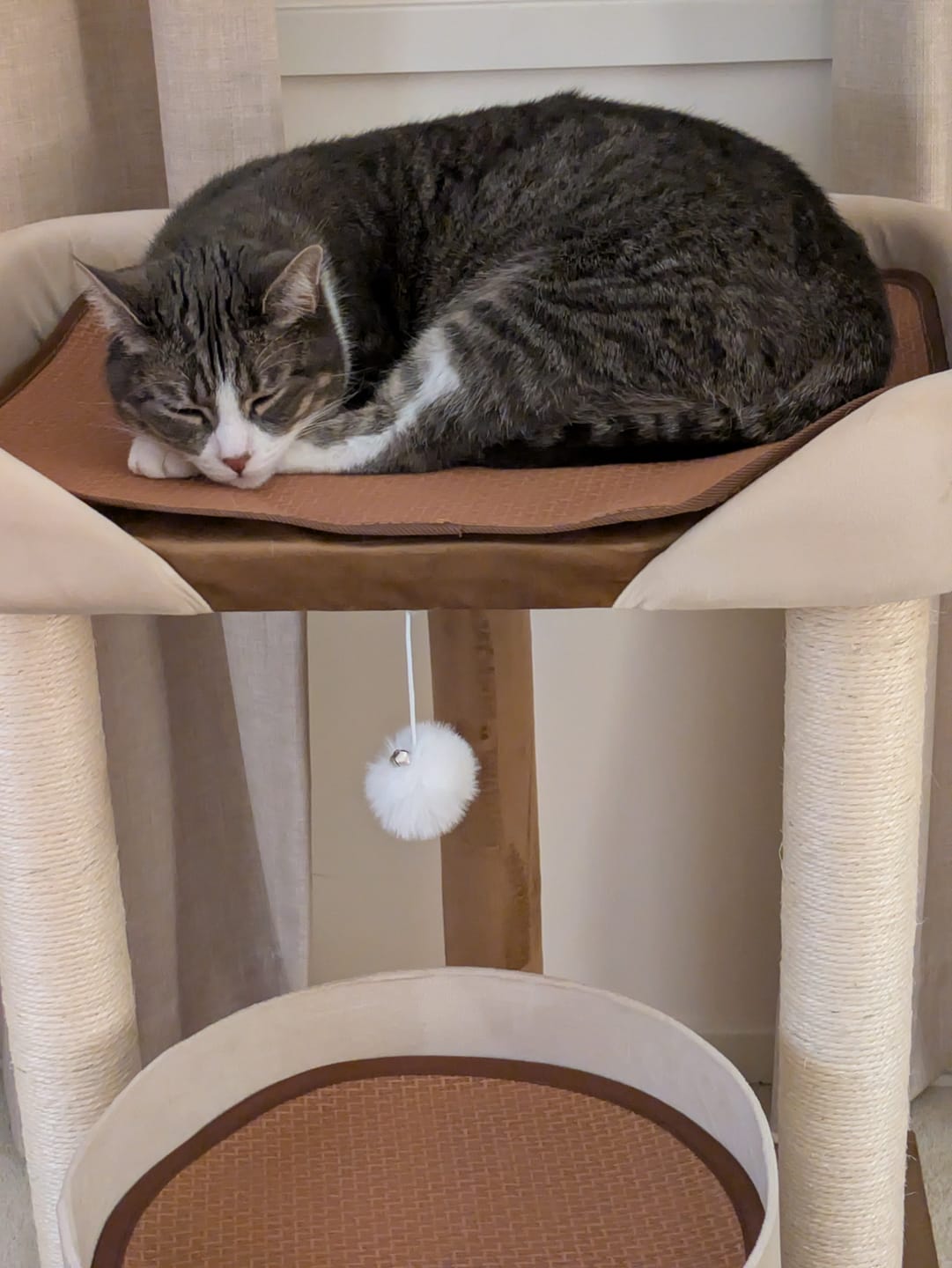 Customer photo review of Japanese-Style Double-Level Cat Tree Cat Sofa - 90901B, Perfect for Window-Side Lounging