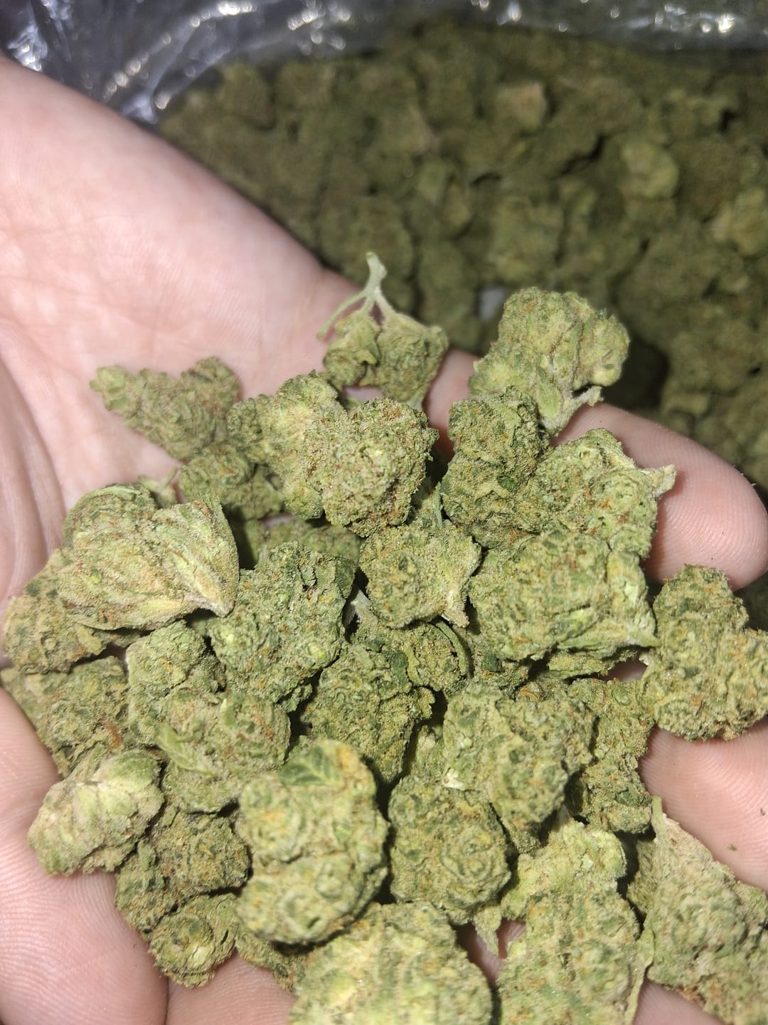 Customer photo review of Cheetah Piss Mediums - Bulk Mediums - Hybrid