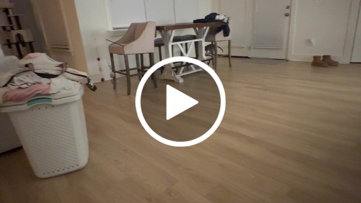 Customer video review of SPEEDY TAIL 2.0